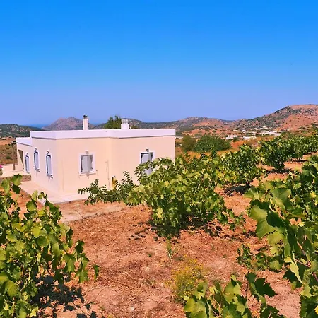 Prázdninový dům House Family Friendly 126sqm - Syros Greece Syros Island